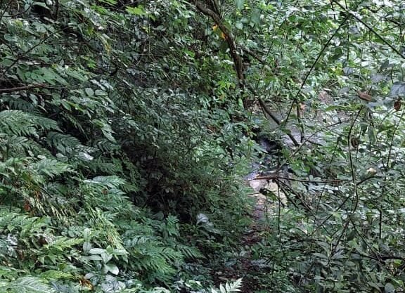 Terreno Agrícola 5000 v2 con Nacimiento en Tonacatepeque