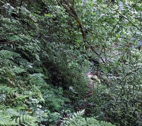 Terreno Agrícola 5000 v2 con Nacimiento en Tonacatepeque